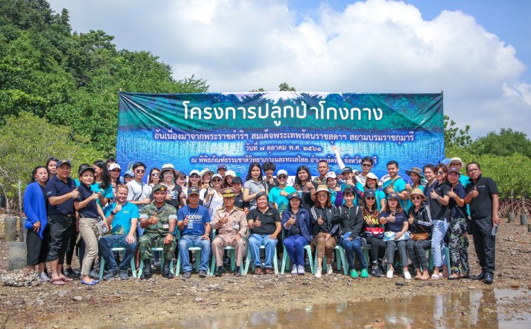 ภาพบรรยากาศโครงการปลูกป่าโกงกางอนุรักษ์พันธุกรรมพืช (1)